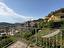 Immagine 11