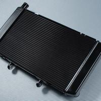 Radiatore Tipo Original HORNET 600 2007 - 2013