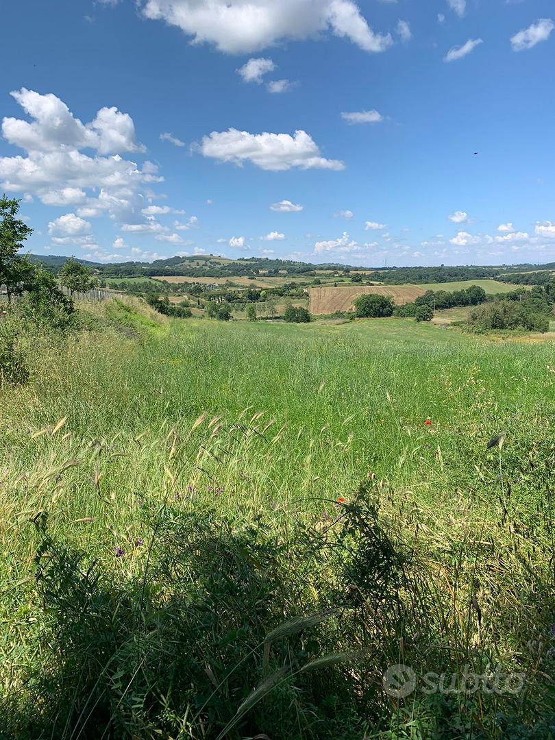 Terreno agricolo Trevignano Romano - Vista 2