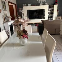 Appartamento ristrutturato 49-382