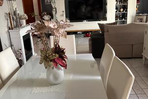 Appartamento ristrutturato 49-382