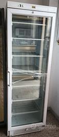 FRIGO congelatore vetrina TECFRIGO