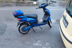 Moto elettrica vitale