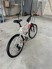 Bianchi Forza Turmac