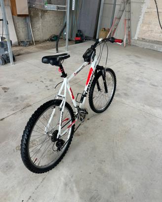 Bianchi Forza Turmac
