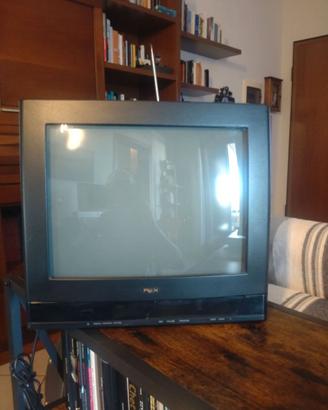 TV Rex 14 pollici