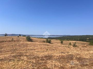 TER. AGRICOLO A TREVIGNANO ROMANO