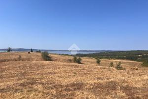 TER. AGRICOLO A TREVIGNANO ROMANO