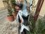 Immagine 2