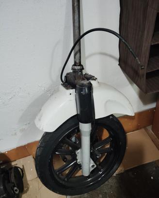 forcella Beverly 250 300 