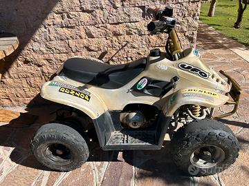 Quad 110 cc