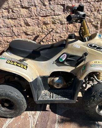 Quad 110 cc