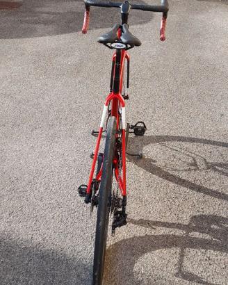 Wilier filante slr
