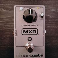 MXR Smart Gate M-135