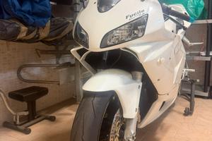CBR 600 RR LEGGI BENE- UNICA