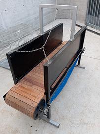 treadmill cani