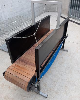 treadmill cani