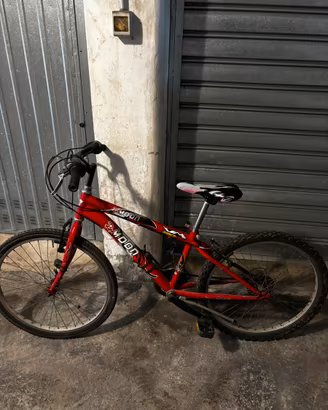 Bicicletta MTB Moon da bambino/ragazzo