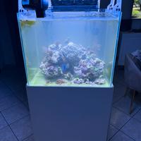 acquario marino 160 litri in blocco