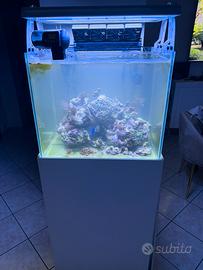 acquario marino 160 litri in blocco