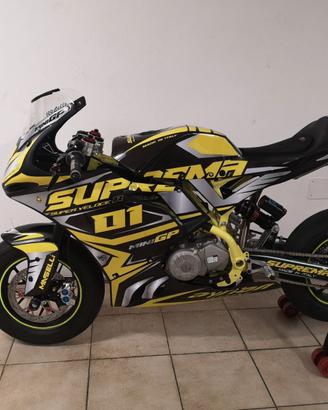 AYRTON SUPREMA SUPER VELOCE R