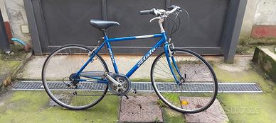 bicicletta cerchio 28