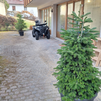 Skiing and Fun Tarvisio