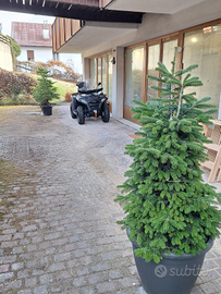 Skiing and Fun Tarvisio