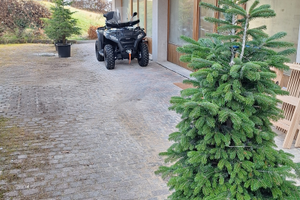 Skiing and Fun Tarvisio