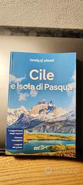 Guida Cile e Isola di Pasqua 2024 nuova