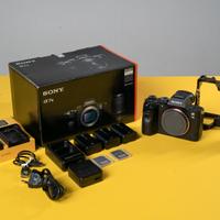 SONY A7 III / 25.767 scatti