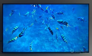 TV SAMSUNG 55