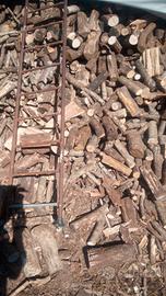 LEGNA ASCIUTTA TENUTA AL COPERTO 