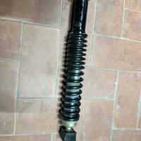 Amortizzatore px posteriore