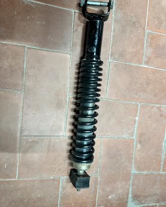 Amortizzatore px posteriore