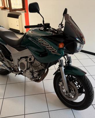 Tdm 850, fmi, gomme nuove catena distribuz. nuova