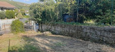 Vendita terreno
