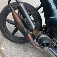 giannelli shot v4 per minarelli orizzontale