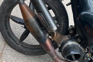 giannelli shot v4 per minarelli orizzontale