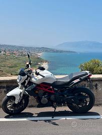 Benelli BN 300