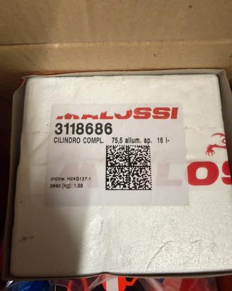 Kit cilindro malossi vespa gts 300