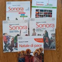 Testo scuole medie - Sonora A e B