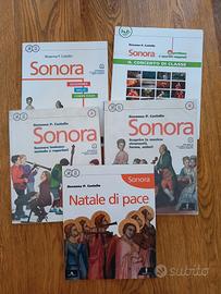 Testo scuole medie - Sonora A e B