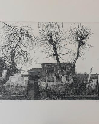 Acquaforte di GIANNI CACCIARINI