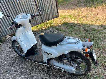 Scarabeo aprilia