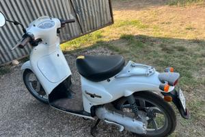 Scarabeo aprilia