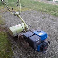 moto zappatrice grillo