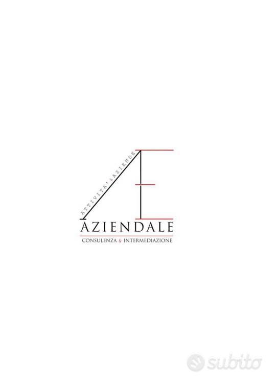 Attività / Licenza di 72 m² con 2 locali a Verona - Vista 5