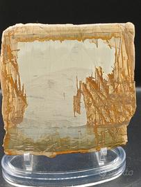 pietra paesina di Firenze 