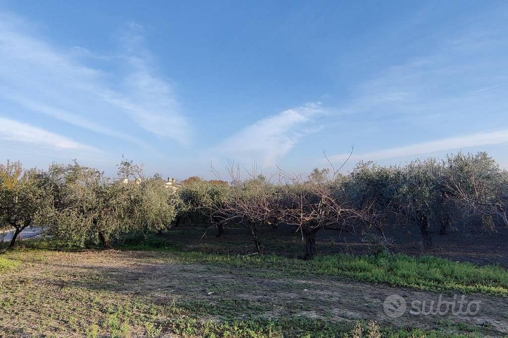 Terreno di 13800 m² a Monteodorisio - Vista 4